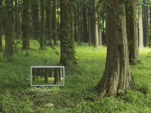 Flachbildschirm im Wald